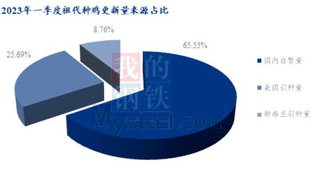 白羽肉鸡种禽端数据分析报告_祖代_父母_品种