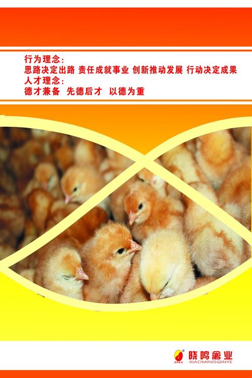 "/item/晓鸣禽业">晓鸣禽业 /a>)已发展成为集祖代和父母代蛋种鸡饲养