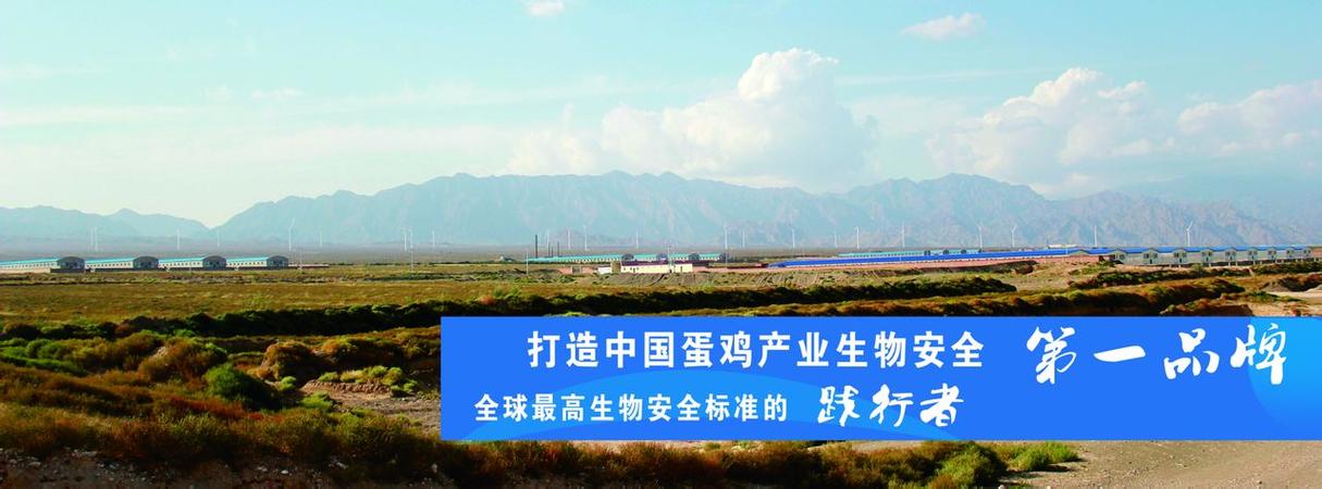 "/item/晓鸣禽业">晓鸣禽业 /a>)已发展成为集祖代和父母代蛋种鸡饲养