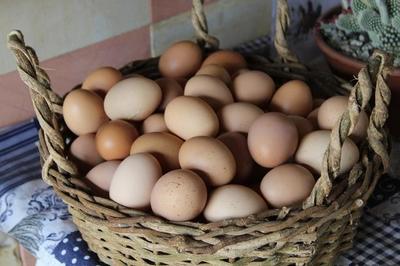 并不是所有的蛋都能吃 这6种蛋一定要少吃