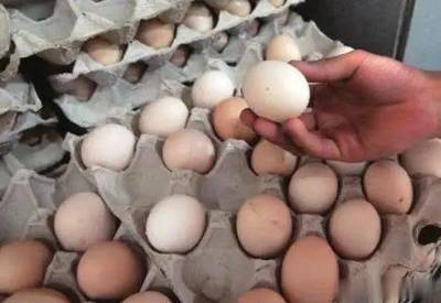 买鸡蛋,选大还是小?超市员工说漏嘴,2种蛋区别大,别再随便拿