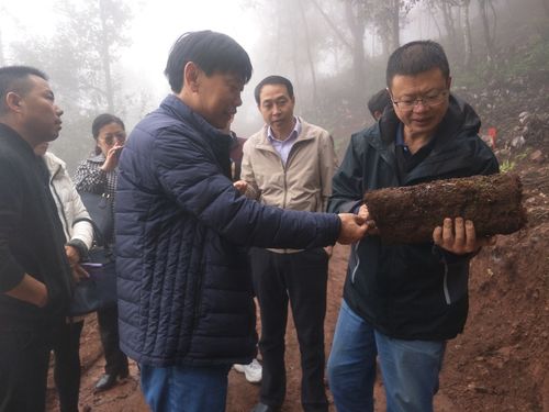 盐津县 引育管用 四向发力激活人才效能