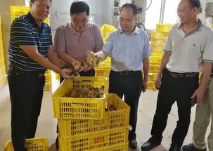 省厅种业管理处为民服务 解难题抓落实有具体行动