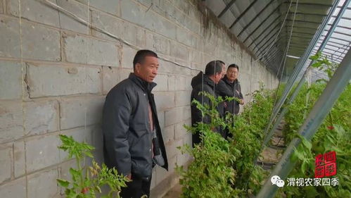 渭南市农业产业 企业 复工率达96.6