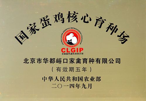 峪口禽业,沃德中国芯,品质中国行