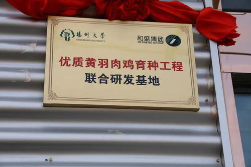 扬州大学与江苏和盛集团 优质黄羽肉鸡育种工程联合研发基地 落户临海