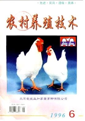 猪业观察