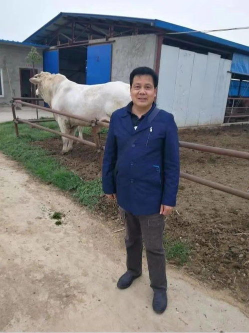 细说家禽冬季要预防的那些疾病 三农服务热线