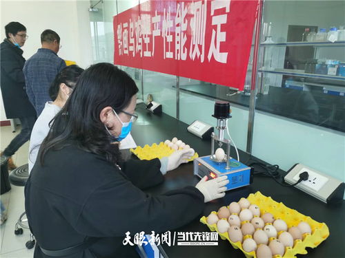贵州 科技育种,抓牢农业现代化种业 芯