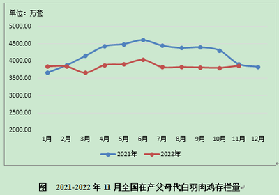 数据分析 | 白羽肉种鸡生产监测分析报告(2022年11月)