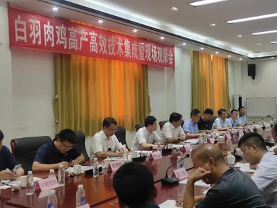 国产品种开新局 稳产保供谱新篇 --白羽肉鸡高产高效技术研讨会暨现场观摩会举办