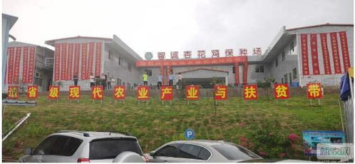 封开县智诚家禽育种喜迎12周岁生日