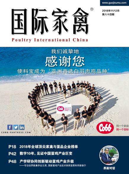 2019,我劝你多读纸媒 你的阅读造就了你