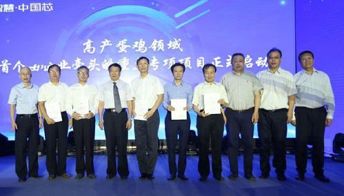 峪口禽业重新定义 养鸡