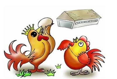 2015家禽业十件大事·年终盘点