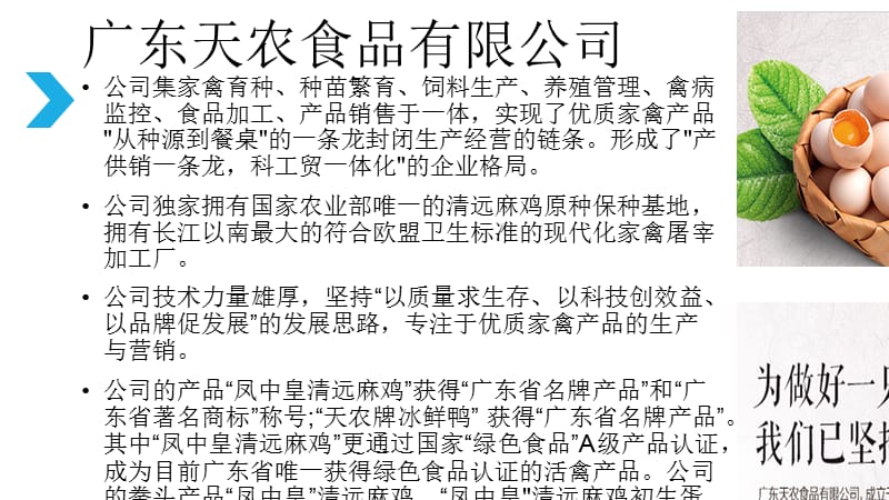 清远鸡战略管理分析
