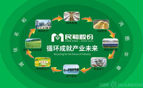 【民和食品】品牌介绍→民和鸡苗_民和牧业