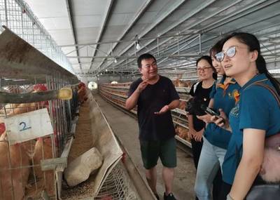 把科技旗帜插到基层!华南农业大学师生到封开助力乡村振兴!