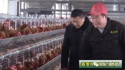 灵璧林汇家禽育种:强化养殖场生物安全措施预防禽流感