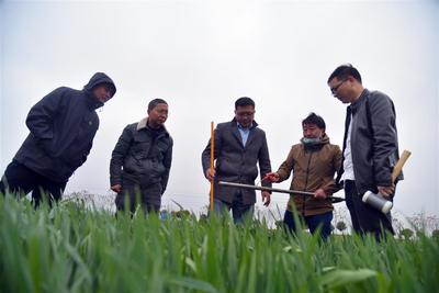 精心配置“科技大餐”直送田间地头 湖北2000名专家“智”援春耕