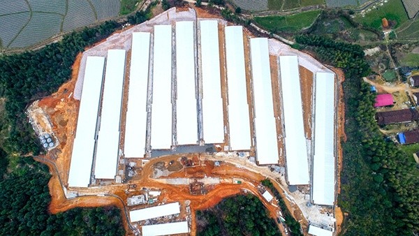 圣农集团在闽北投资20亿元 项目陆续开工