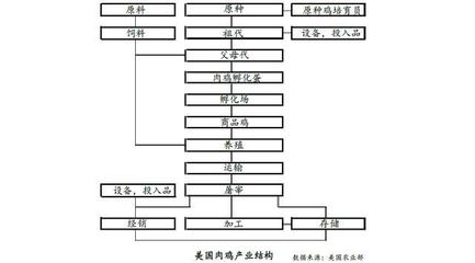 看欧盟、巴西、美国肉鸡产业现状