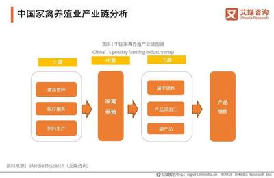 2019-2021年中国家禽消费市场大数据及饲养行业趋势研究报告
