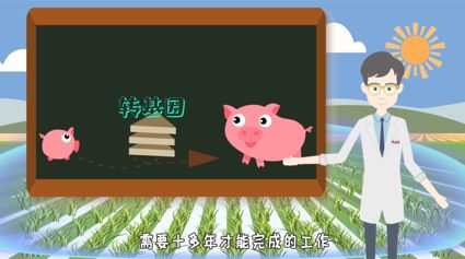 科普 你了解转基因食品吗